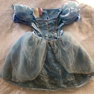 Lined Layered Tulle Blue Princess Cinderella Disney Fantasy Play Costume Dress